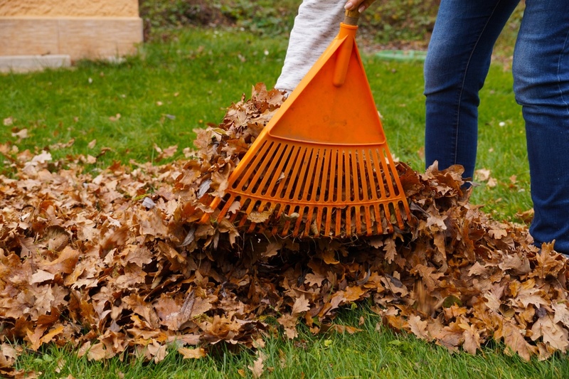 15 tuintips voor oktober